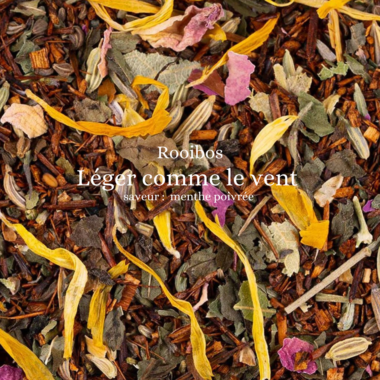 Léger comme le vent