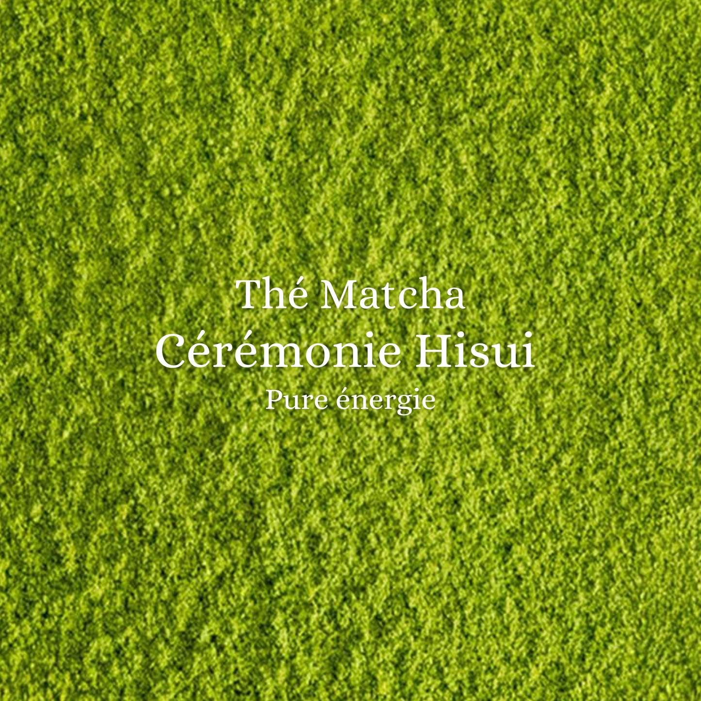 Matcha Cérémonie Hisui