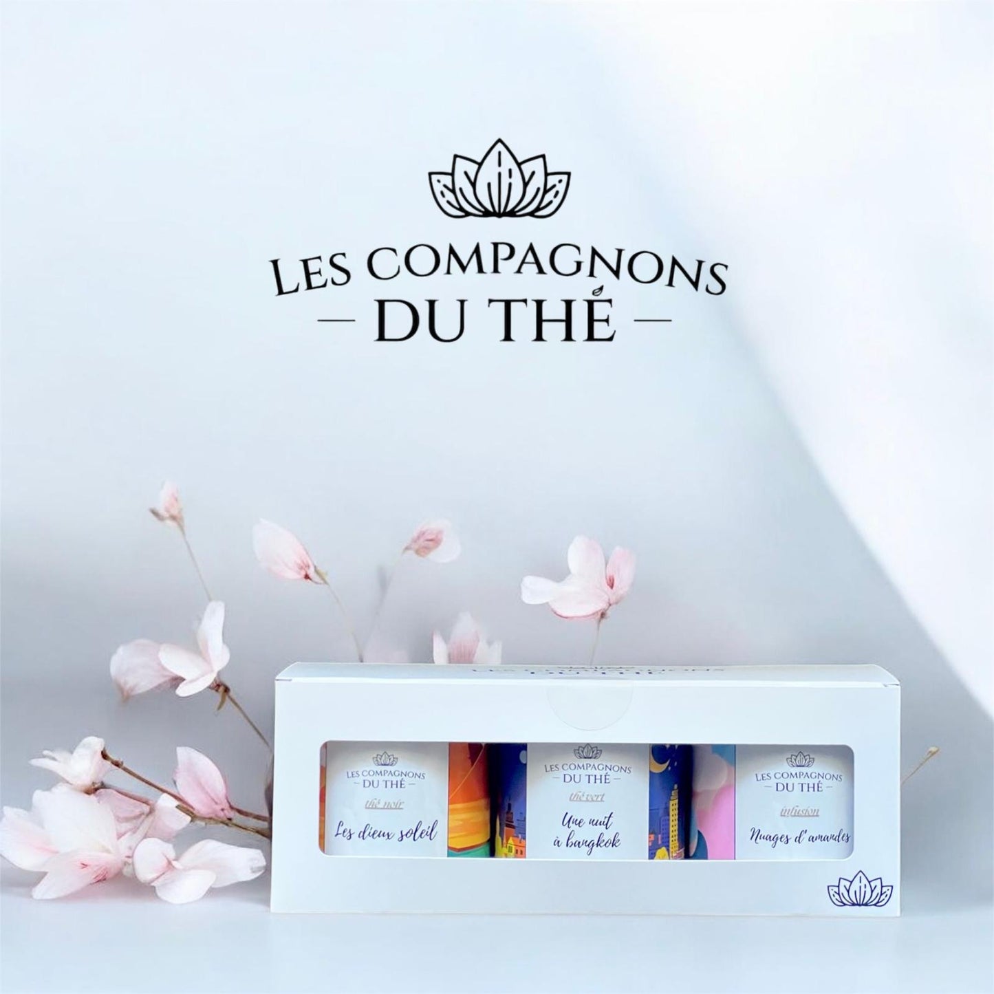 Coffret trio découverte