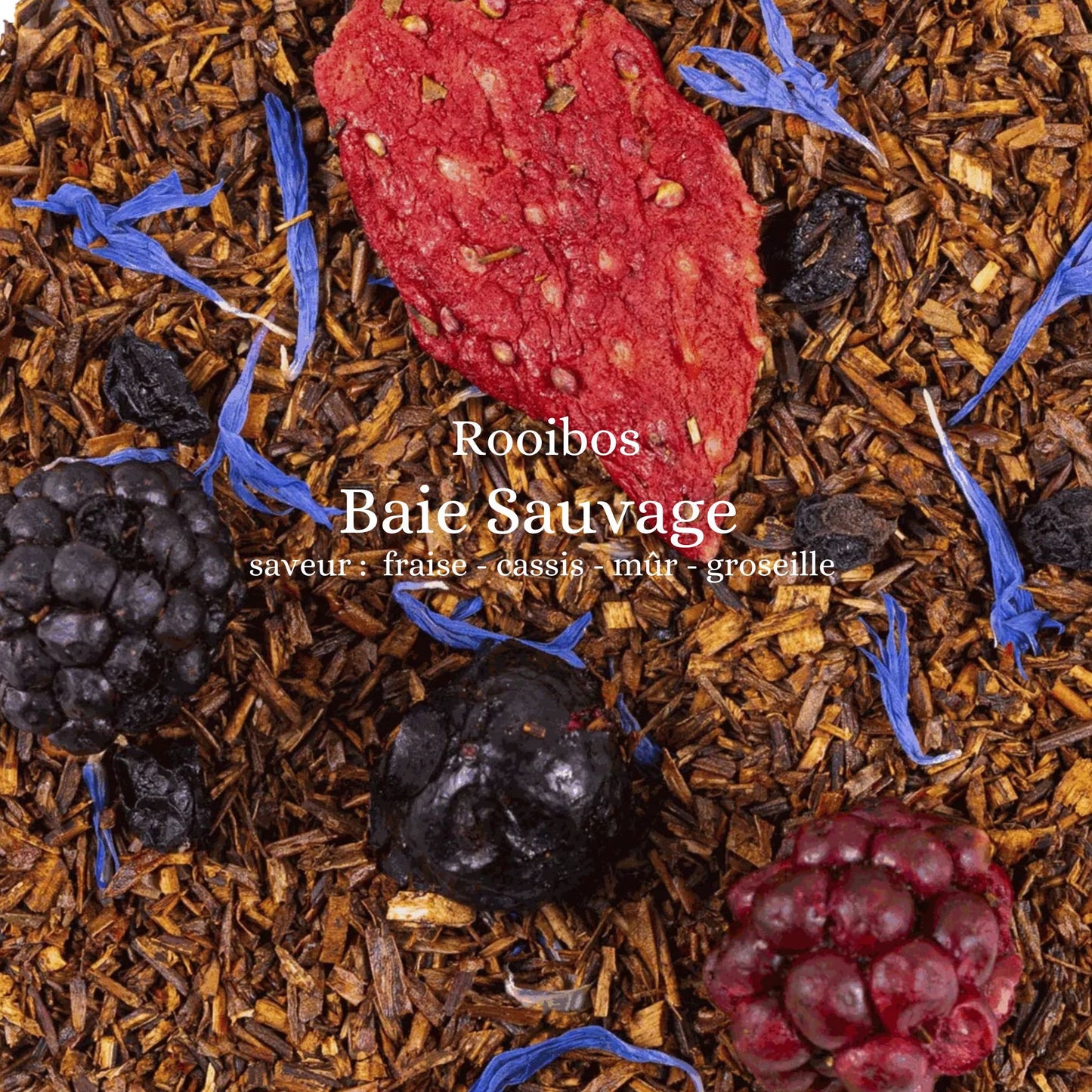 Rooibos Baies sauvages