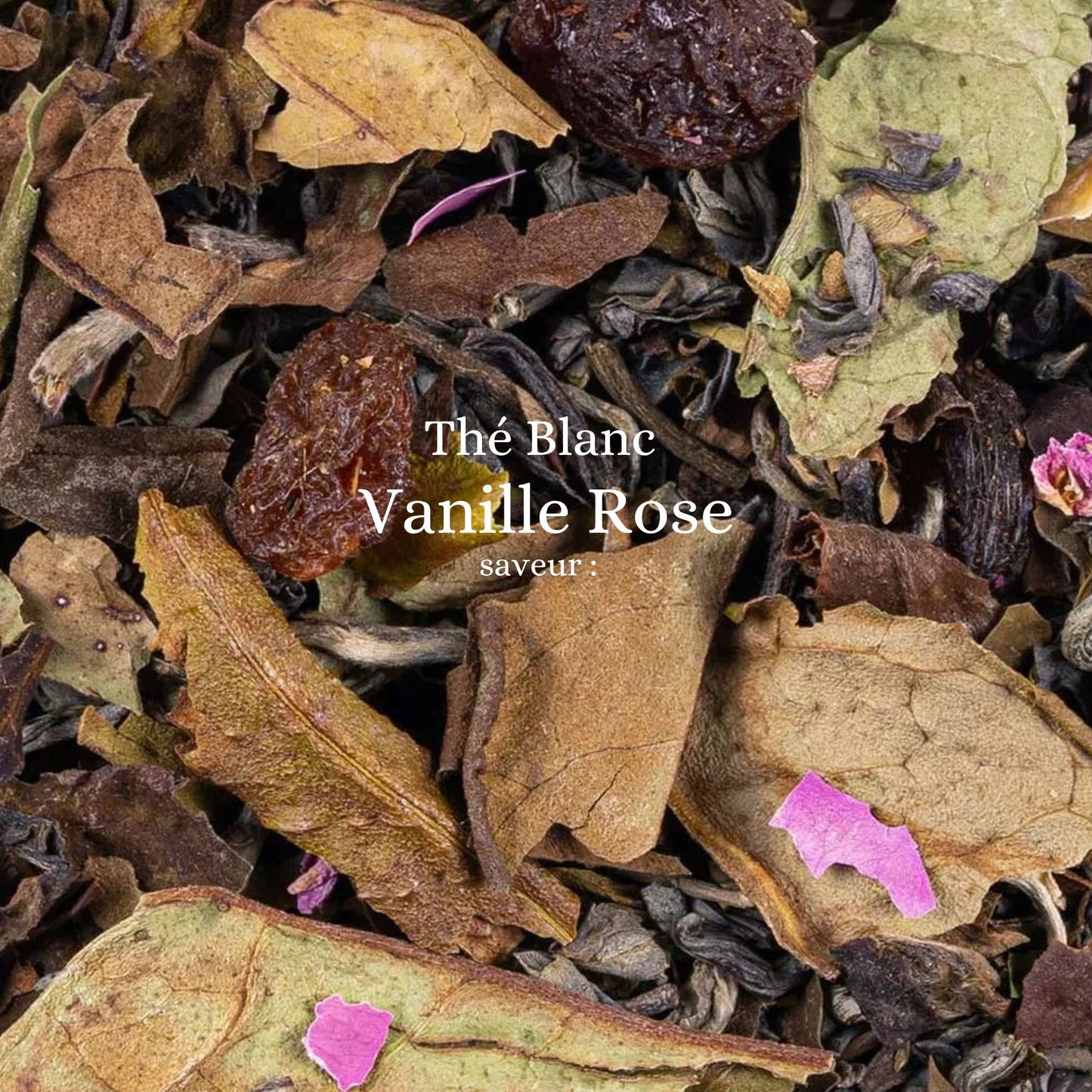 Vanille – rose